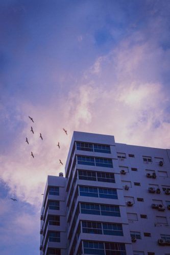 IMG_0039